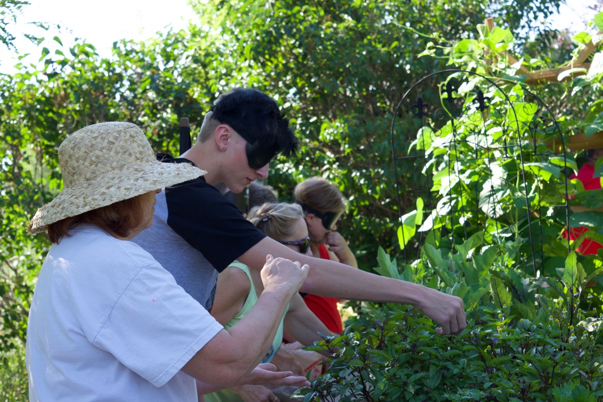 Roland picks Basil leaves while he takes a tour of the garden